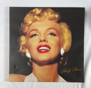 30 Framed photos on Faux Canvas, Ali, Marilyn Monroe, Elvis, Marvel Super Heroes etc