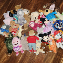 Load image into Gallery viewer, Mixed Plush Lot Bulk Stuffed Animal Lovey Toy Reseller Various Lot 2 30+ Pieces